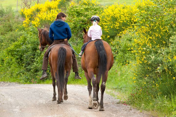 Horseback riding