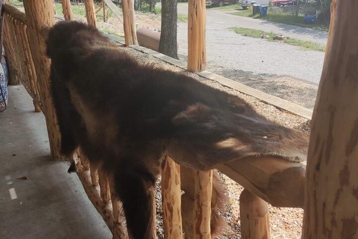 Terrace/Patio 55 of 80