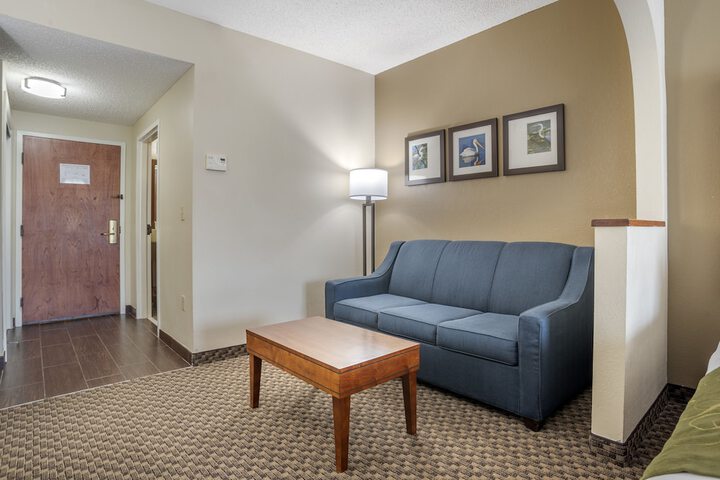 Suite King Bed Accessible (15 of 23)