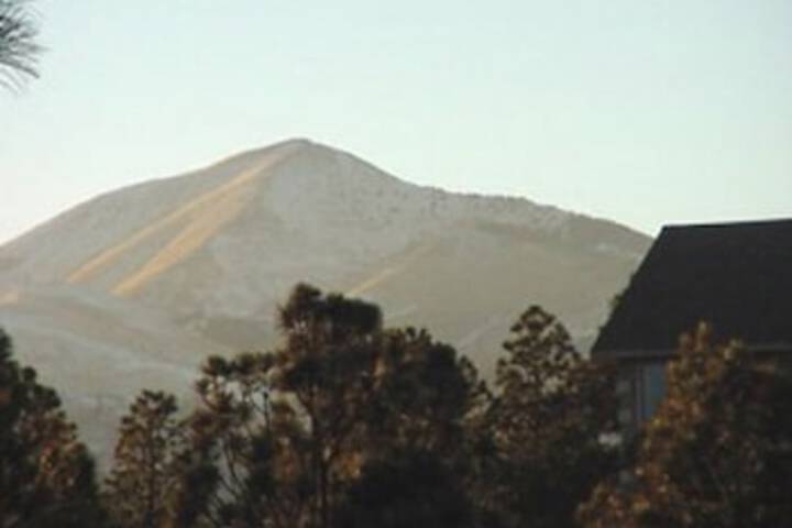 Hotel View 11 of 23