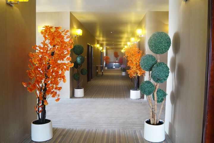 Ballroom/Hall 9 of 10