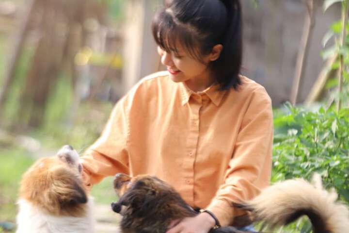 Pet Friendly 112 of 184