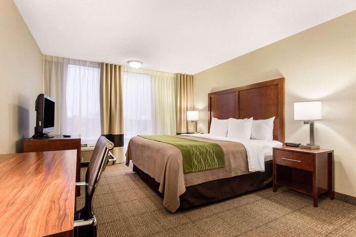 1 King Bed (8 of 14)