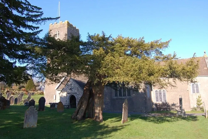 Forestoke Linhay Holne
