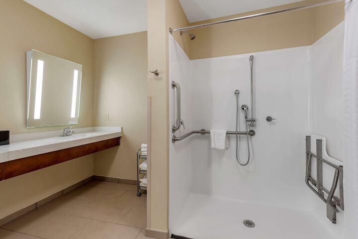 1 King Bed Suite (4 of 9)