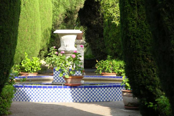 Garden