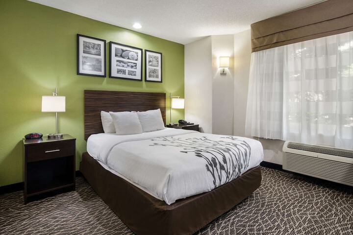 1 Queen Bed Accessible (2 of 12)