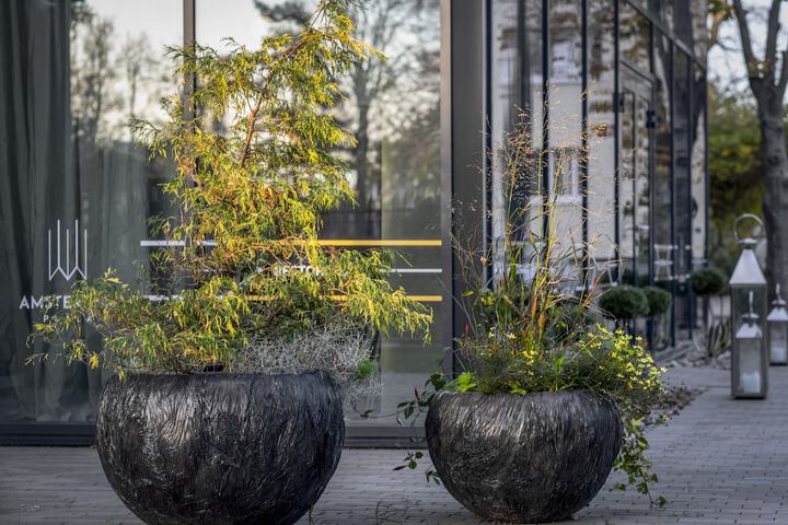 Terrace/Patio 36 of 70