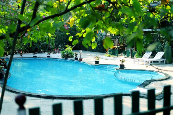 Pool 38 of 87