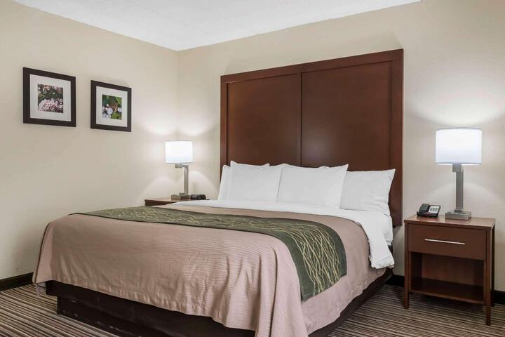 Standard King Bed Accessible (3 of 6)