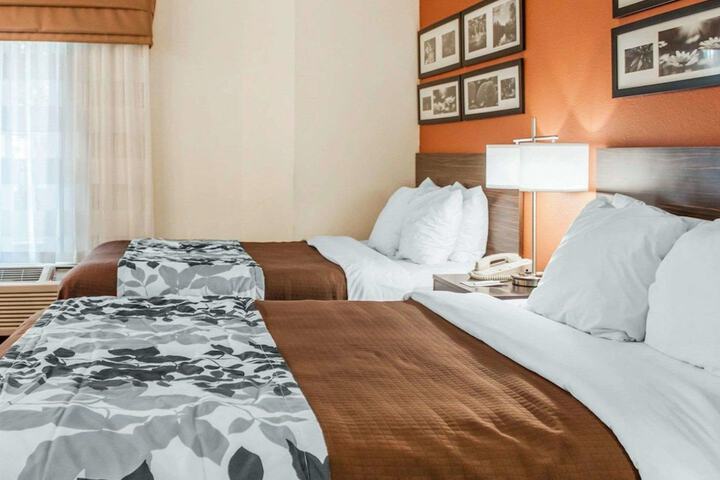 2 Queen Beds (5 of 15)