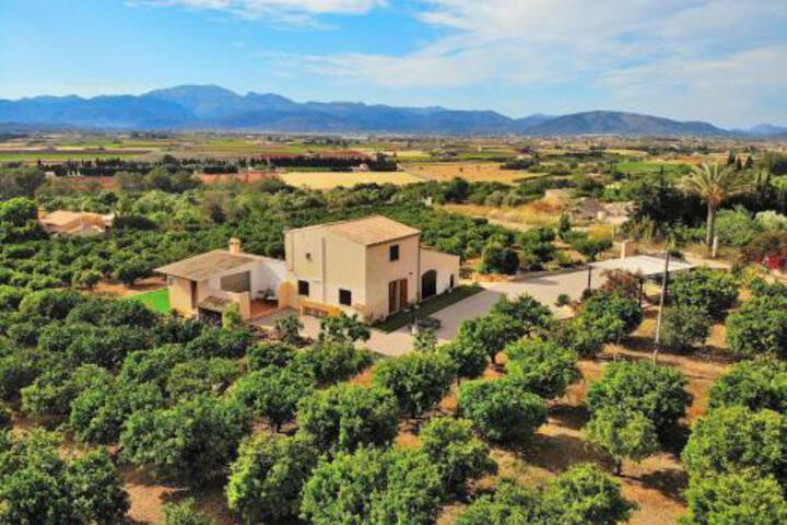 081 Finca Els Tarongers ETV5766 by Mallorca Charme