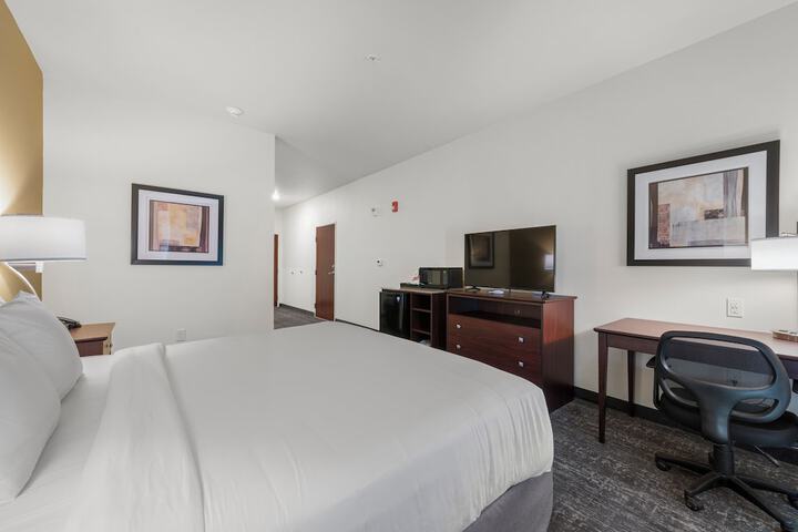 Guest Room Single King Bed Accessible (7 of 17)