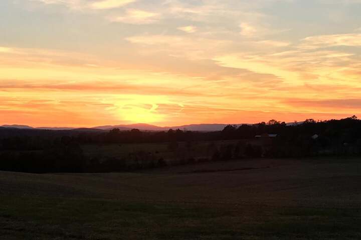 Property Grounds 29 of 36