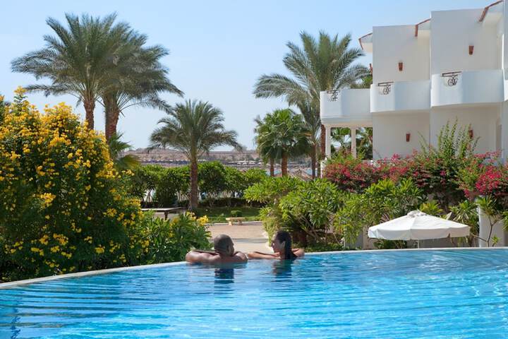 Hotel with Pool