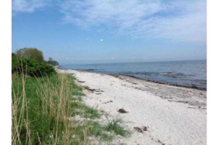 Beach 4 of 16