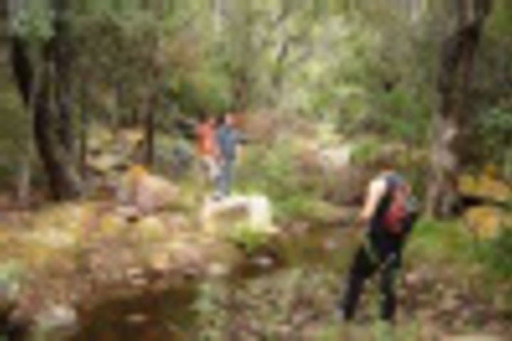 Outdoor Activities 64 of 792