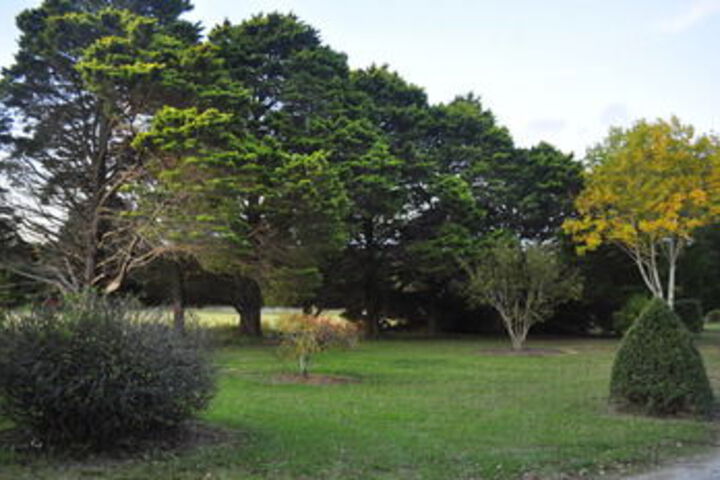 Property Grounds 47 of 49