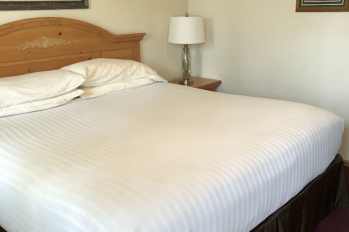 Room 7 of 51