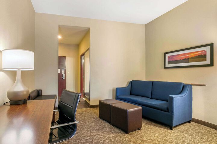 1 King Bed Suite (10 of 20)