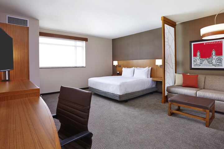 Guest Room Room 1 King Bed with Sofa Bed (4 of 5)