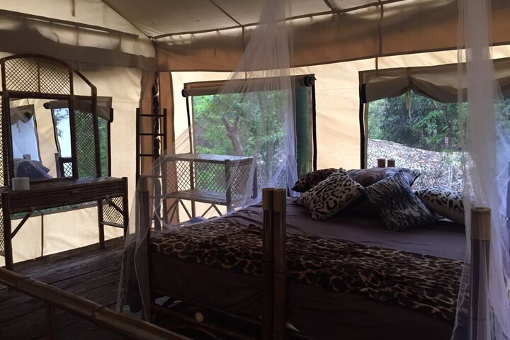 Room 5 of 42