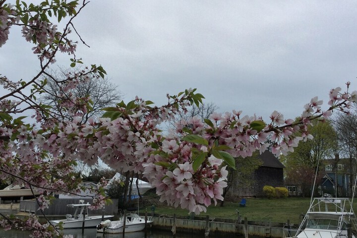 Hotel Exterior 124 of 126