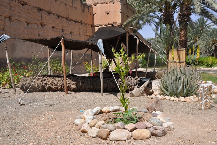 Bivouac Sous les palmiers bleus