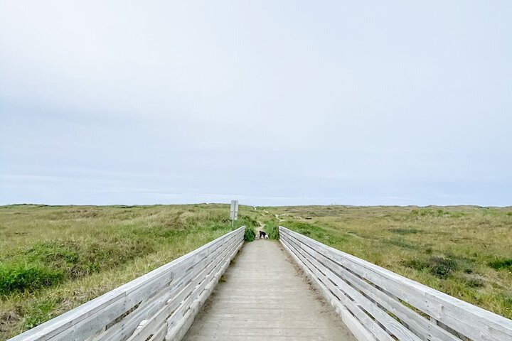 Beach 70 of 83