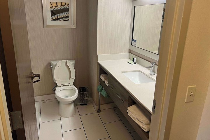 1 King Bed Accessible (2 of 15)