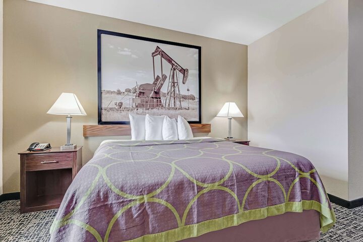 1 King Bed Flat Screen Television Microwave and Refrigerator High Speed Internet Accessible Full Breakfast (4 of 9)