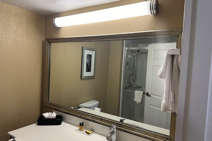 1 King Bed Mobility Hearing Accessible Room Roll in Shower Non-Smokinga (14 of 22)