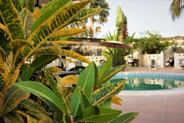 Pool 41 of 53