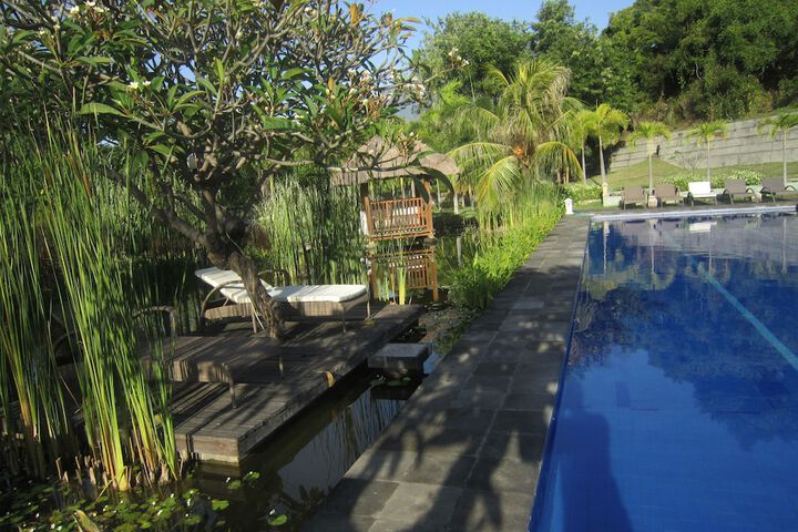Pool to Cool