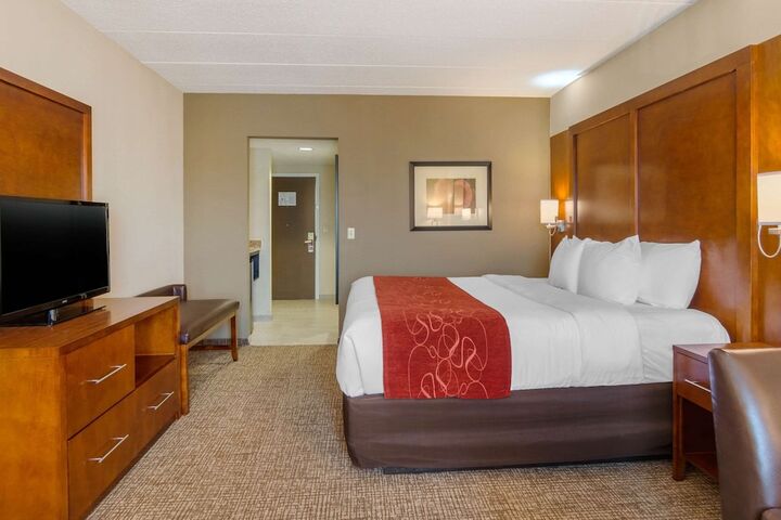 1 King Bed 2 Person Sofa Bed (11 of 30)
