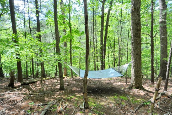 Property Grounds 17 of 20