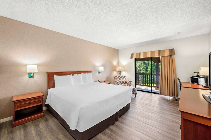 1 King Bed Refrigerator WiFi Full Breakfast (4 of 9)