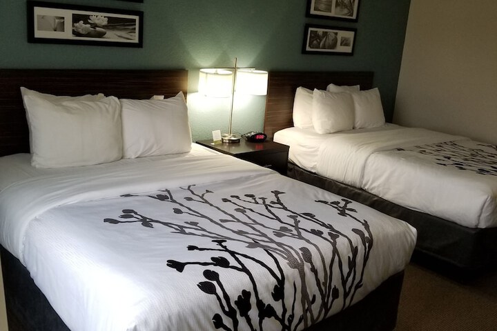 2 Queen Beds Mobility Accessible (16 of 20)