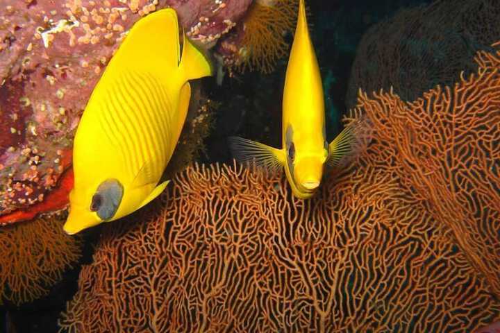 Fishing
