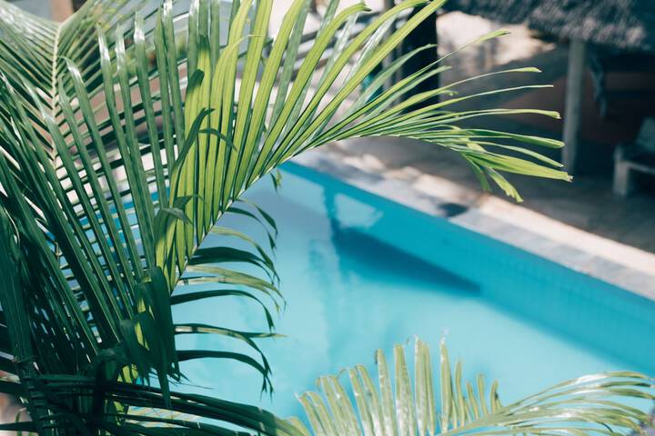 Pool 87 of 133