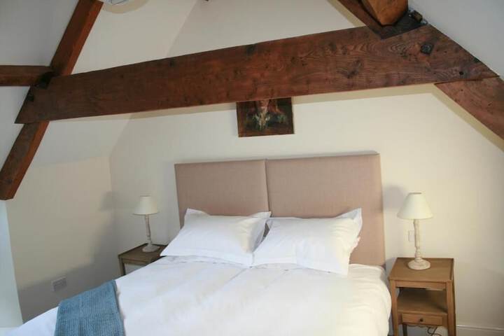 Room 20 of 55