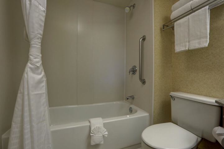 Accessibility 1 Queen Bathtub (12 of 15)