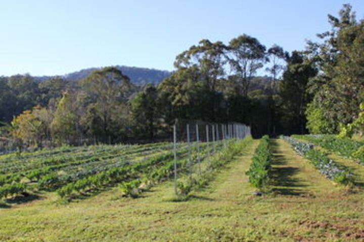 Property Grounds 46 of 58