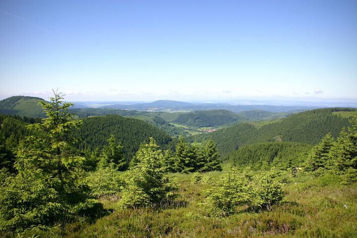Hiking