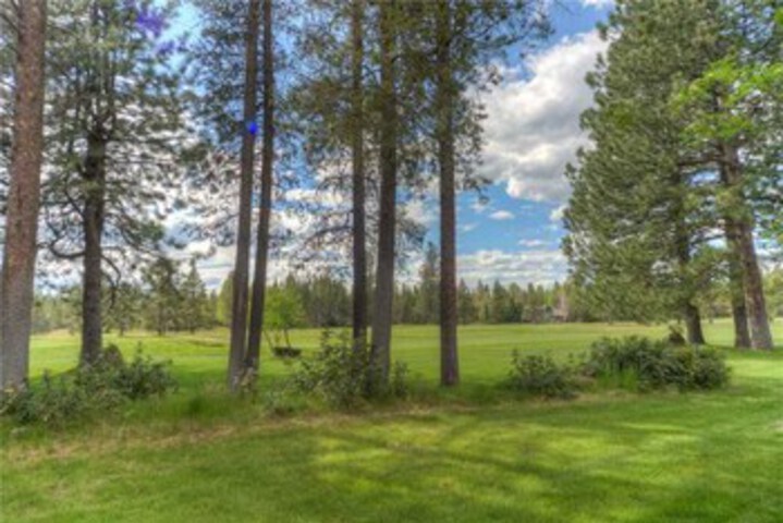Property Grounds 9 of 15
