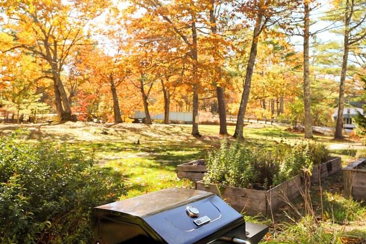 Property Grounds 60 of 66