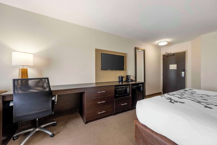 1 King Bed (1 of 38)