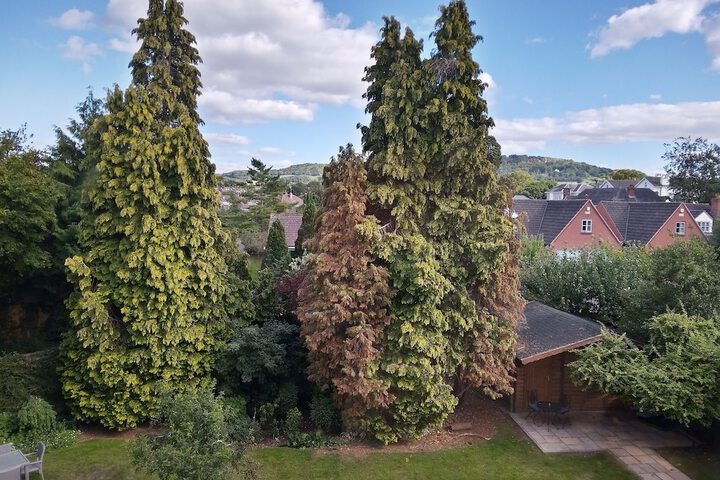 Hotel View 198 of 205