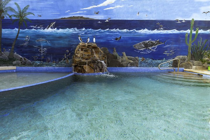 Pool 47 of 85