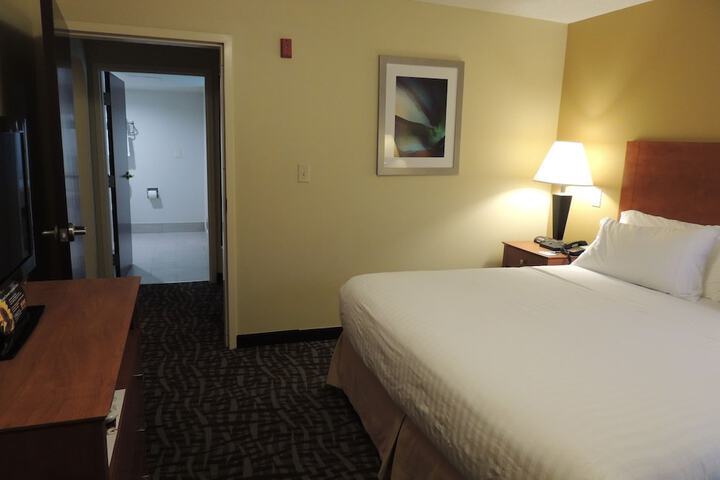 1 King Bed Suite (10 of 23)